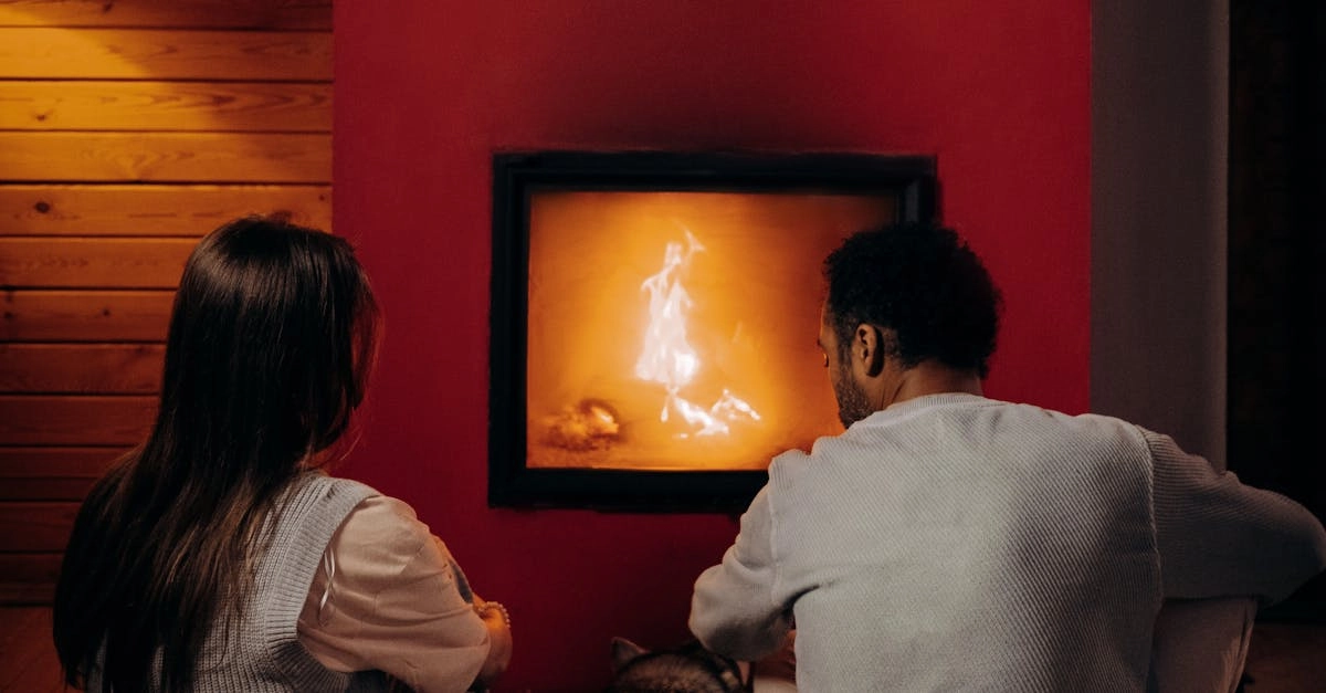 Критический анализ популярности слота The Dog House